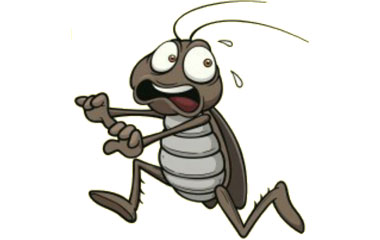 Cockroach control