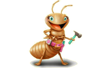 Termite control